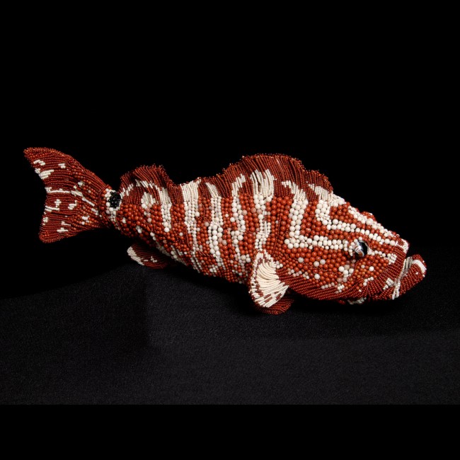 Harry the Nassau Grouper