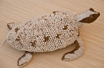 Zuri Turtle