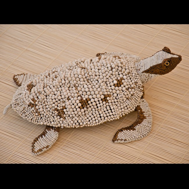 Zuri Turtle