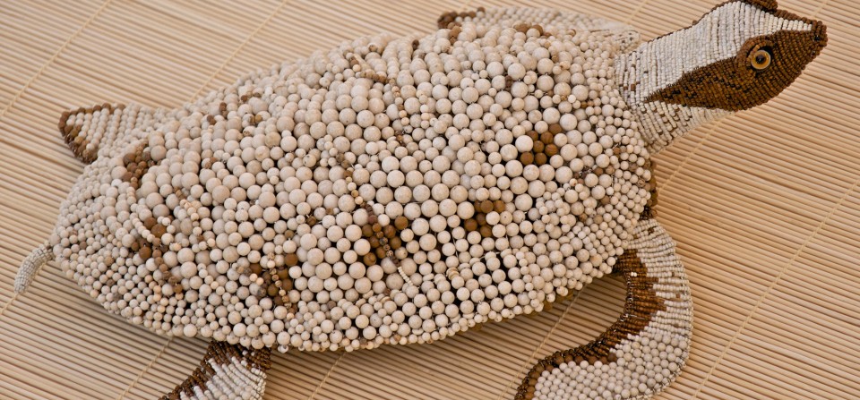 Zuri Turtle