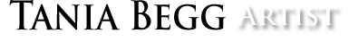 DeepFocus Logo